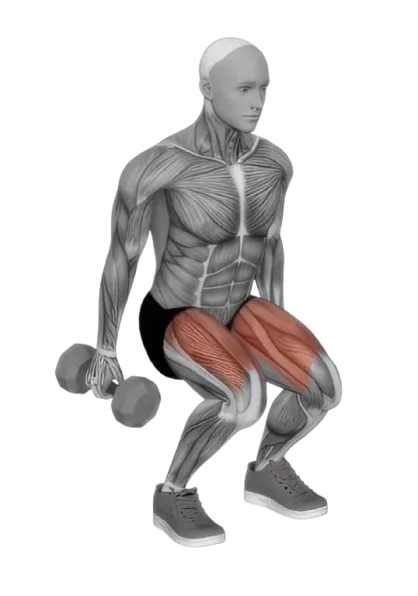 Squat Jumping exercise demonstration