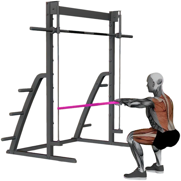 Squat Row exercise demonstration