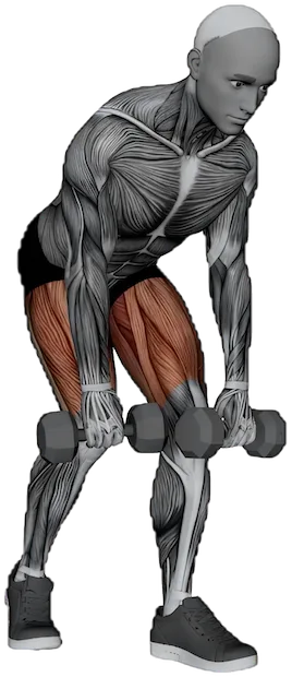 Staggered Deadlift exercise demonstration