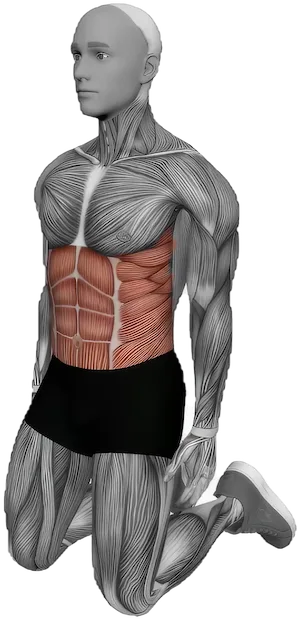 Standing Ab Stretch exercise demonstration