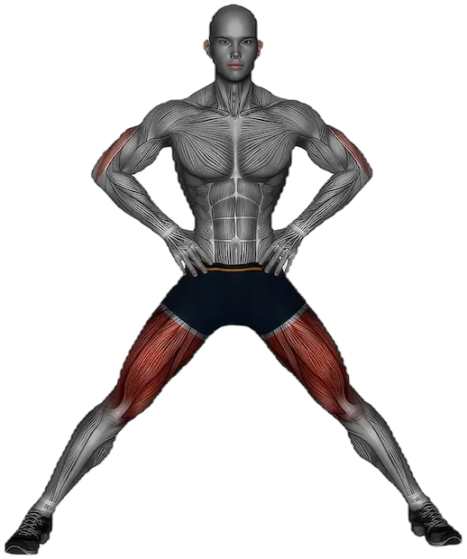 Standing Adductor Stretch exercise demonstration
