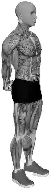 Standing Back Stretch exercise demonstration