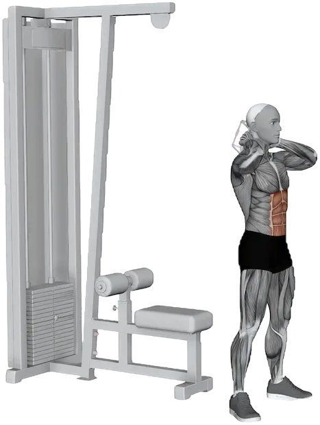 Standing Cable Crunch exercise demonstration