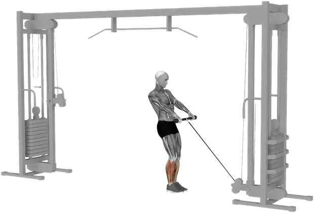 Standing Calf Raise exercise demonstration