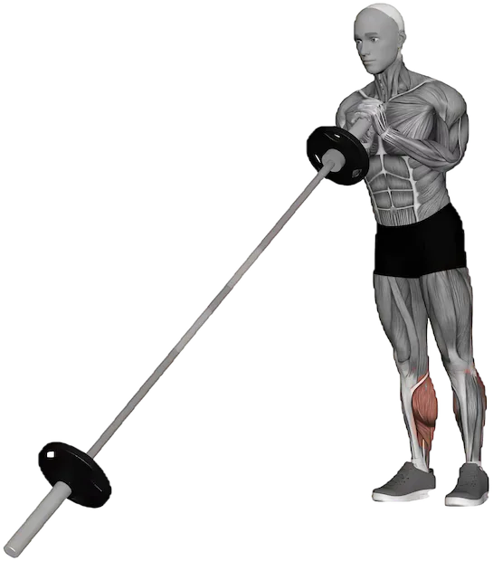 Standing Calf Raise exercise demonstration