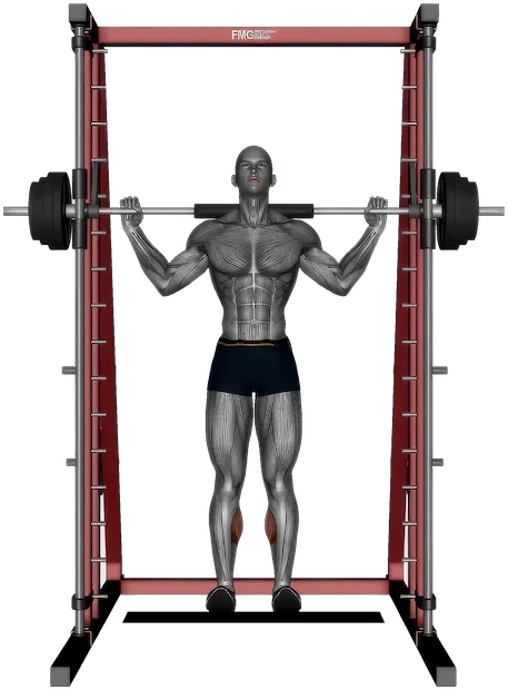 Standing Calf Raise exercise demonstration