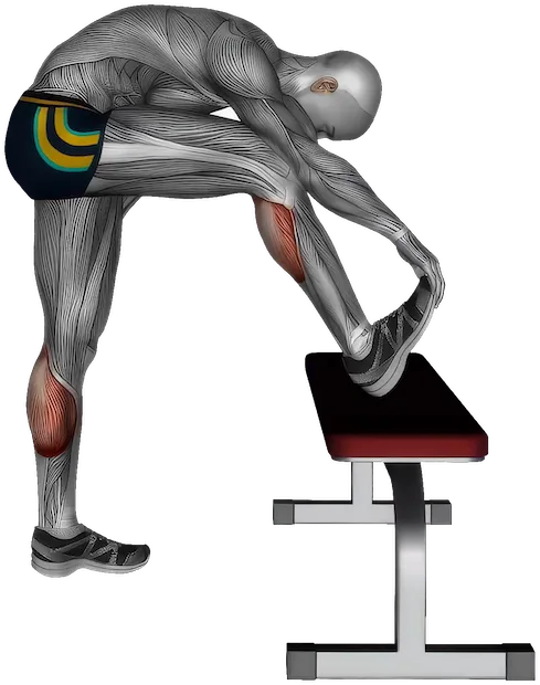 Standing Calf Stretch exercise demonstration