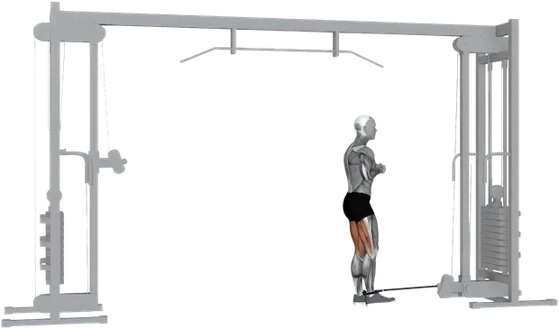 Standing Hamstring Curl exercise demonstration