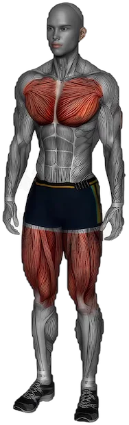 Standing Knee to Chest Stretch exercise demonstration