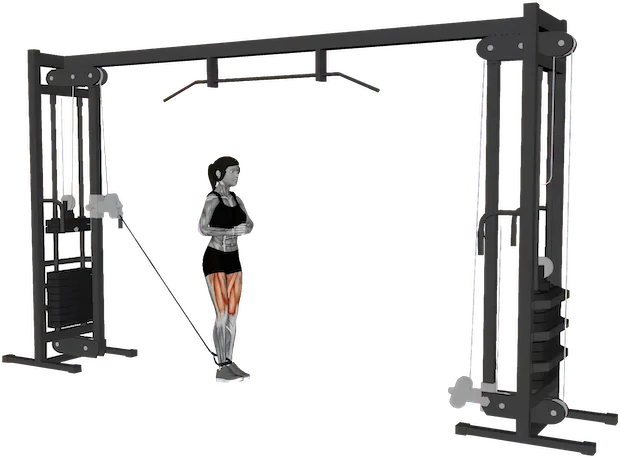 Standing Leg Extension exercise demonstration