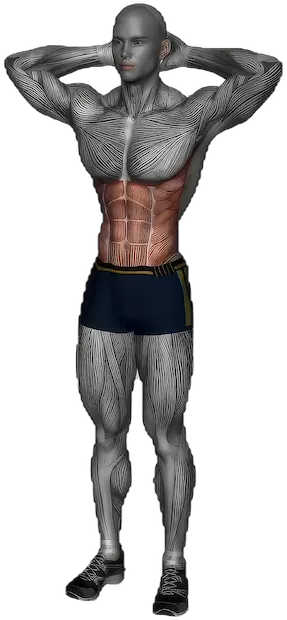 Standing Oblique Crunch exercise demonstration