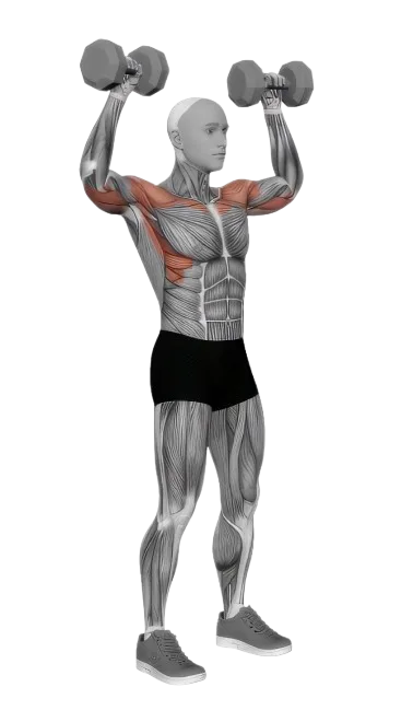 Standing Overhead Press exercise demonstration