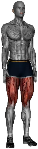 Standing Quadriceps Stretch exercise demonstration