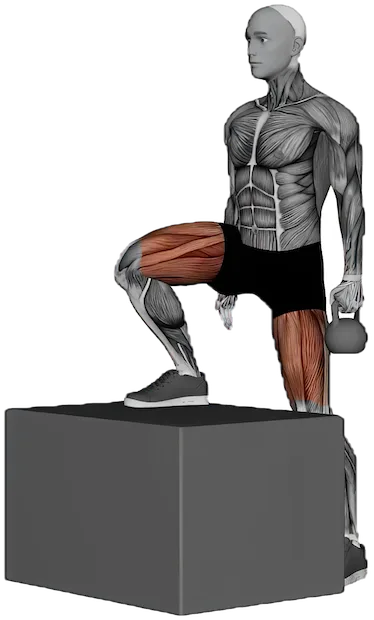Step Up exercise demonstration