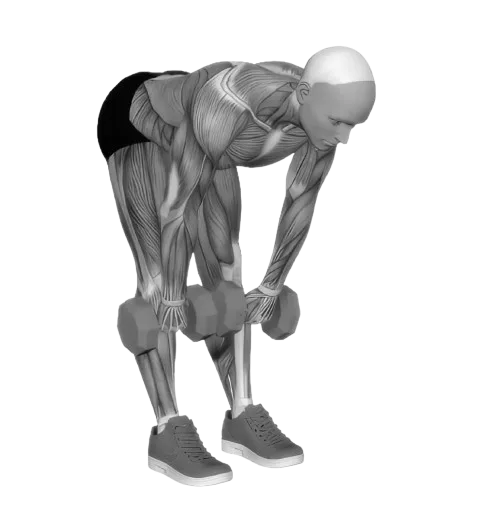 Stiff Leg Deadlift exercise demonstration