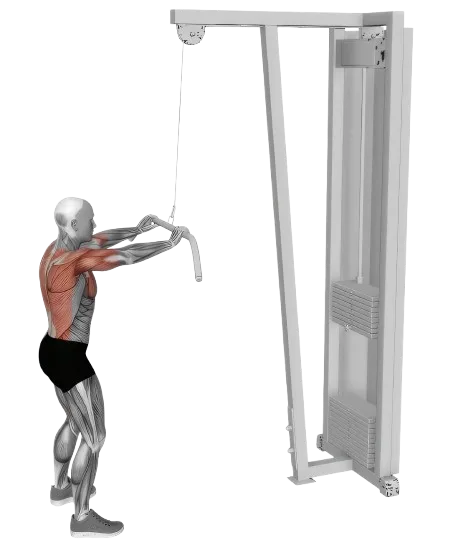 Straight Arm Pushdown exercise demonstration