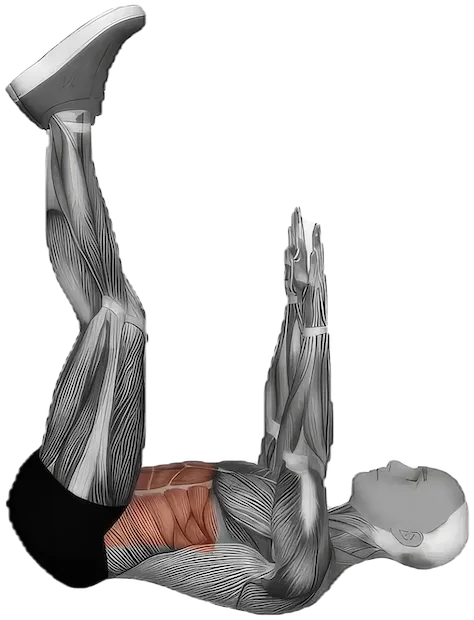 Straight Leg Crunch exercise demonstration