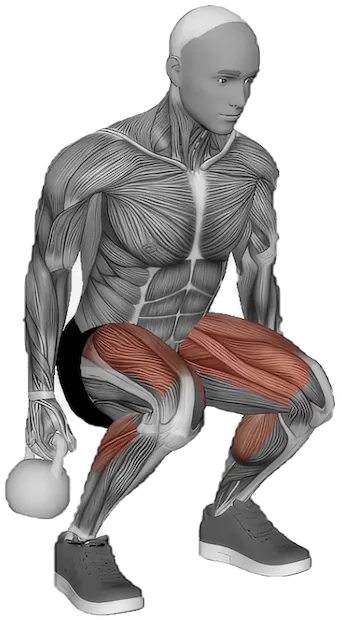 Suitcase Squat exercise demonstration