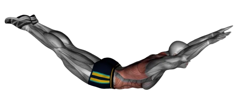 Superman exercise demonstration