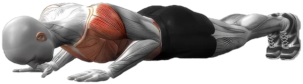 T Push Up exercise demonstration