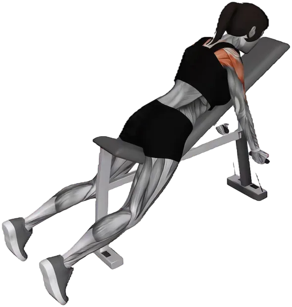 T Raise exercise demonstration