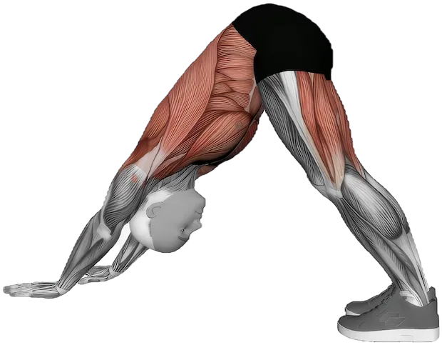 Three-Legged Downward Dog exercise demonstration