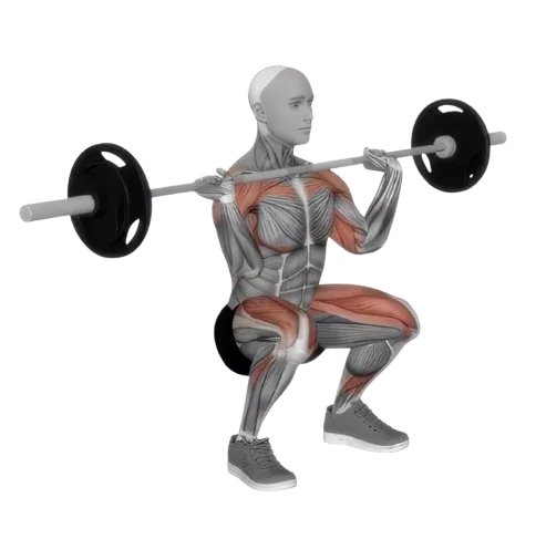 Thruster exercise demonstration