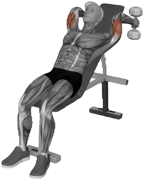 Tricep Extension Incline exercise demonstration