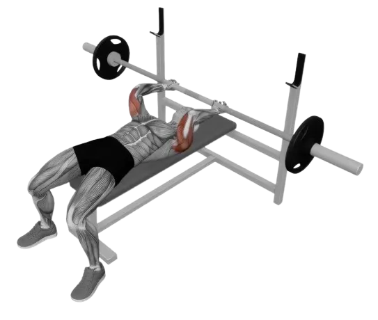 Tricep Extension Lying exercise demonstration