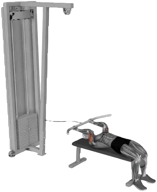 Tricep Extension Lying exercise demonstration