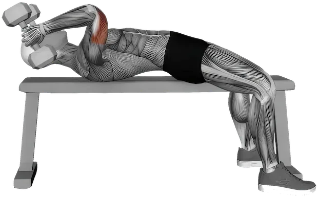 Tricep Extension Lying exercise demonstration