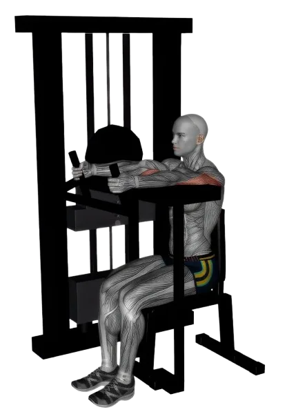 Tricep Extension exercise demonstration