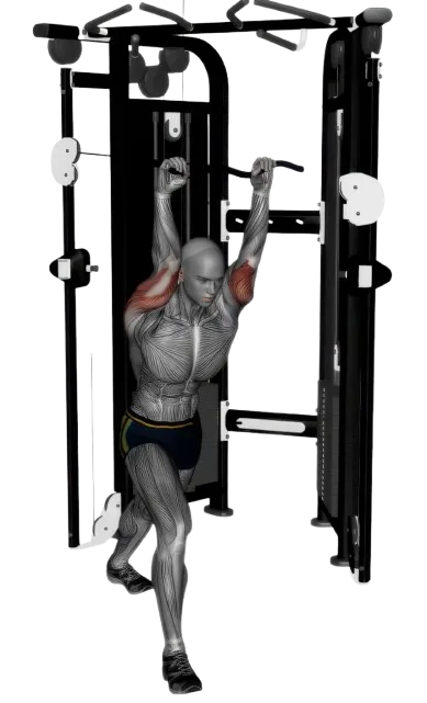 Tricep Extension Overhead exercise demonstration