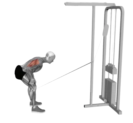 Tricep Kickback exercise demonstration