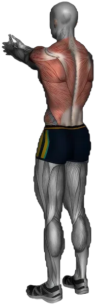 Upper Back Stretch exercise demonstration