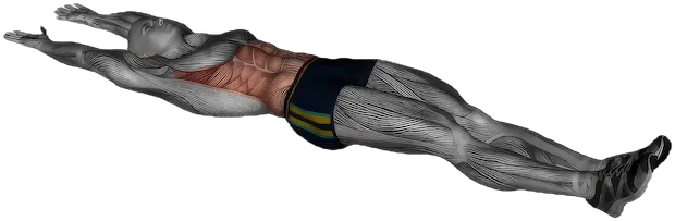 V Up exercise demonstration