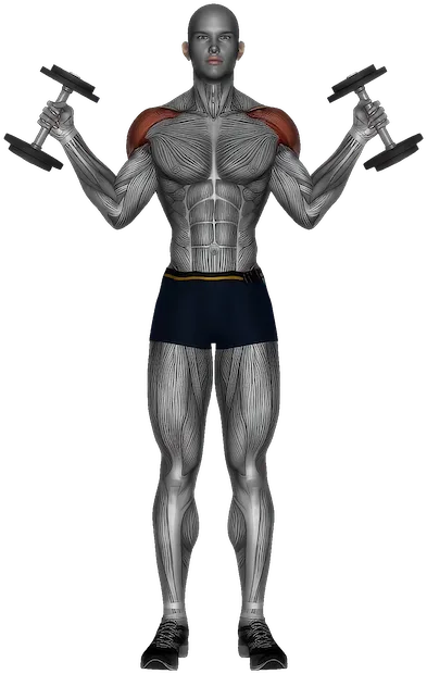 W Press exercise demonstration