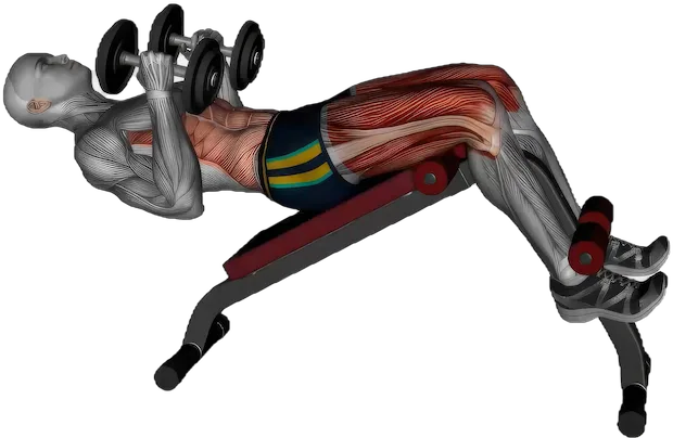 Weighted Decline Oblique Crunch exercise demonstration