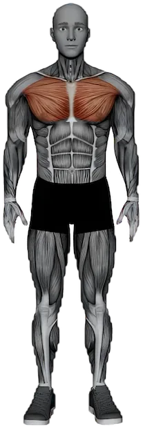 Wide Arm Chest Stretch exercise demonstration