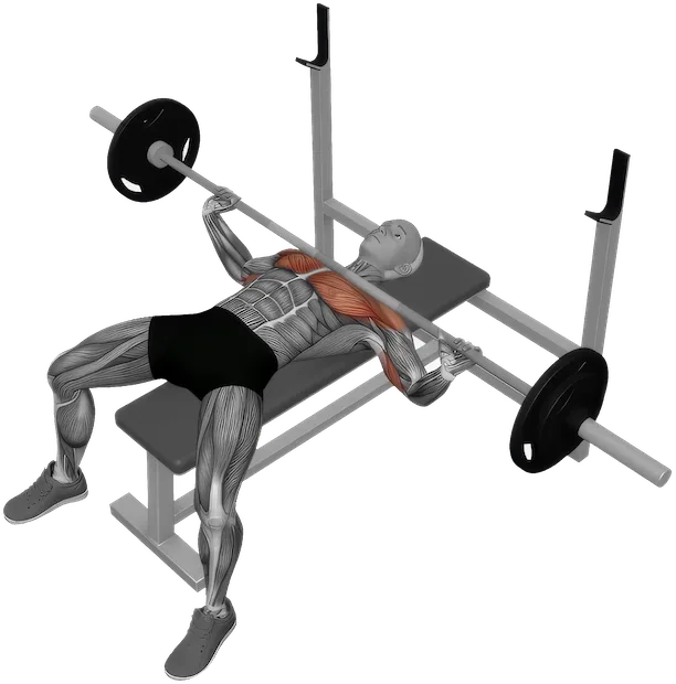 Wide Grip Bench Press exercise demonstration