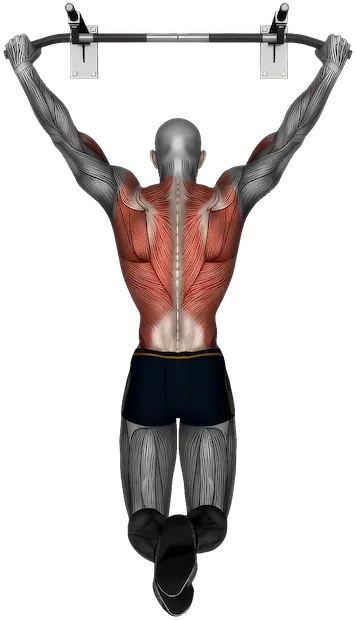 Wide Grip Pull Up exercise demonstration
