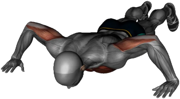 Wide Push Up exercise demonstration