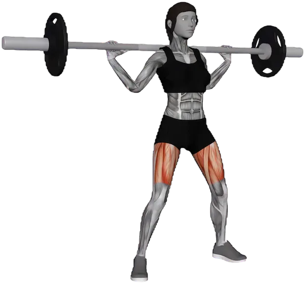Wide Stance Squat exercise demonstration