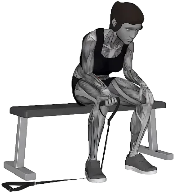 Wrist Curl exercise demonstration
