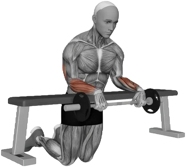 Wrist Extension exercise demonstration