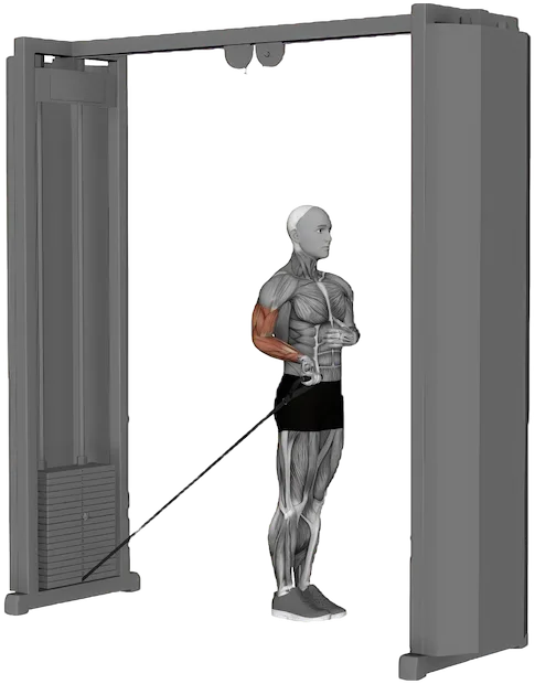 Wrist Extension exercise demonstration