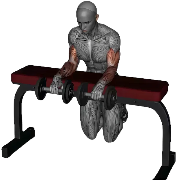 Wrist Extension exercise demonstration