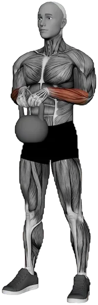 Wrist Extension exercise demonstration