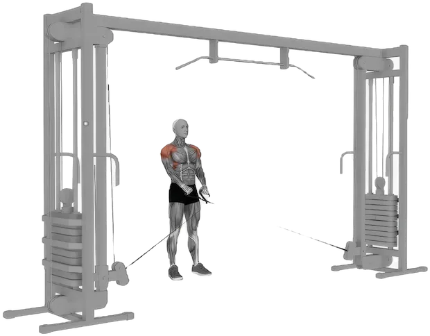 Y Raise exercise demonstration