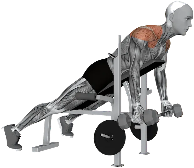Y Raise exercise demonstration
